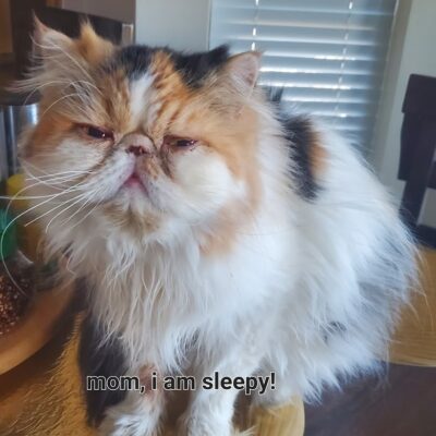 Kahlee-sleepy-look-2.27.25