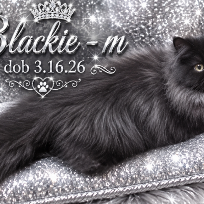 Blackie